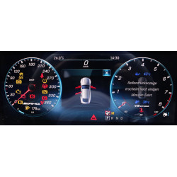 Licence Mercedes-Benz Cybersécurisé - 12 mois